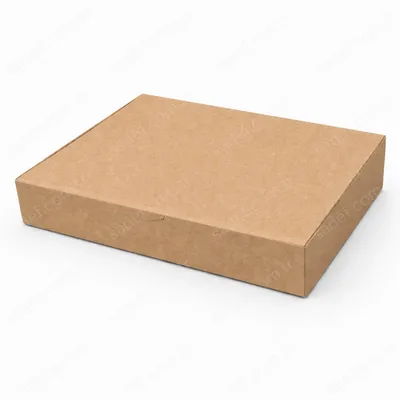 KRAFT ( BASKISIZ ) BAKLAVA KUTUSU 1 KG ( 26X18X4 CM ) 100 AD