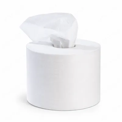 4 KG İÇTEN ÇEKMELİ TUVALET KAĞIDI ( 138 METRE ) 6 AD