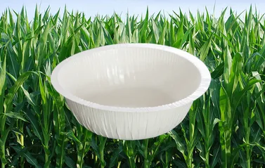 NP-35 Ø160X55 MM - 500 ML KARTON KAP BEYAZ 400 ADET