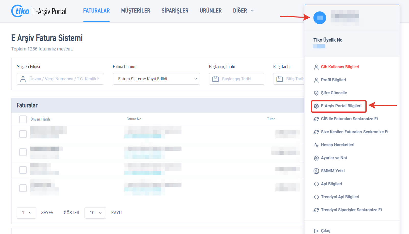 E-Arşiv Portal Bilgileri